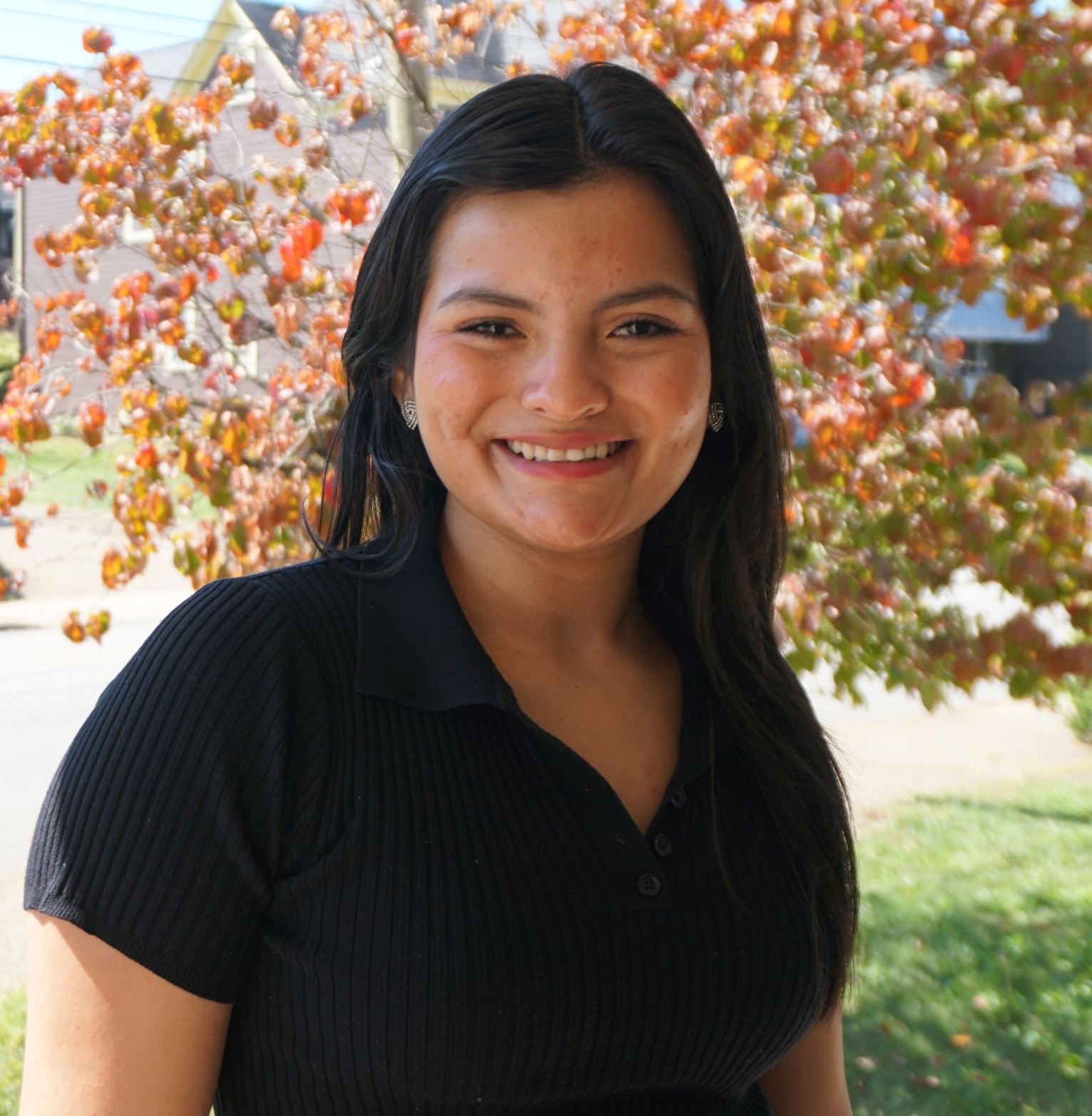 Young Adult Services